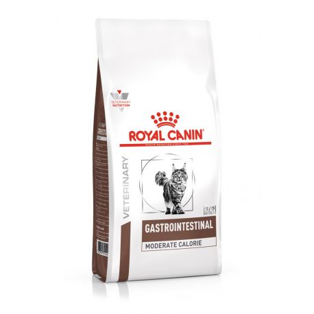 royal canin kat