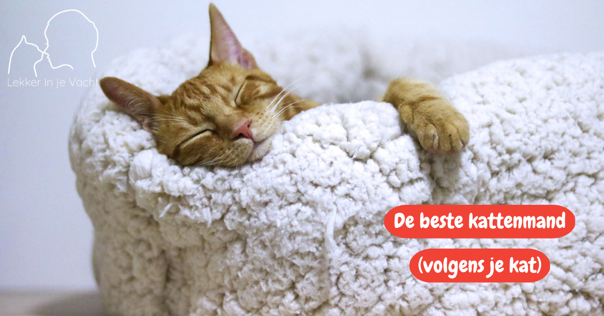 kattenmanden en -bedden
