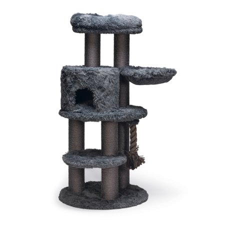 krabpaal grote katten