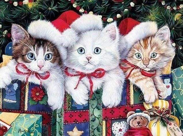 kerst kat