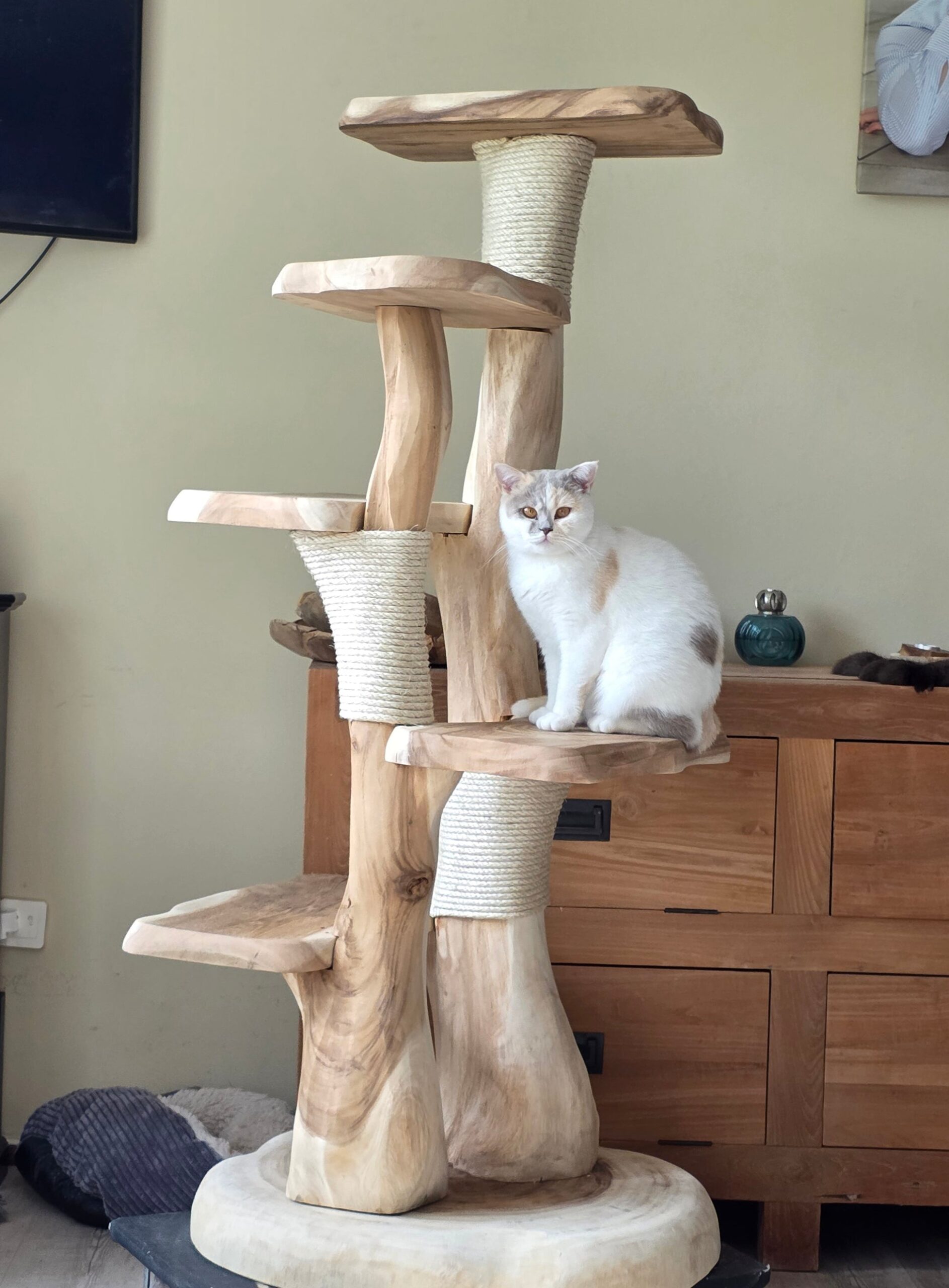 krabpaal hout