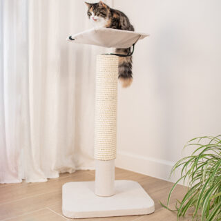 kattenpalen te koop