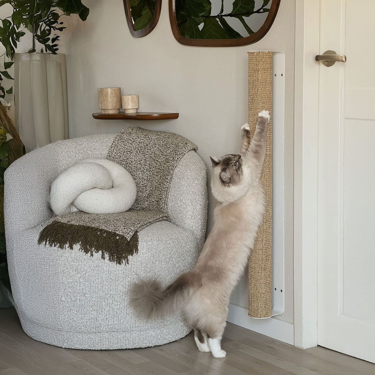 krabpaal winkel