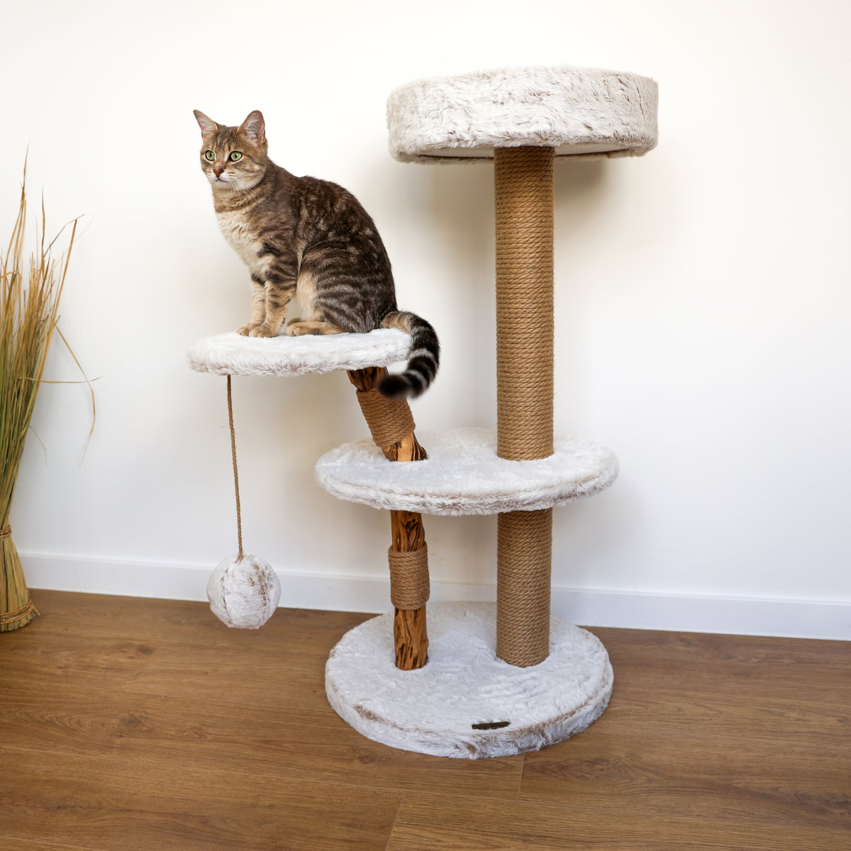 katten krabpaal hout