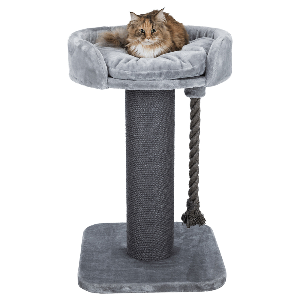 krabpaal voor 2 katten